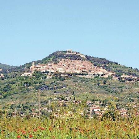 Il Marinocchio Di Malatesti Ареццо Экстерьер фото